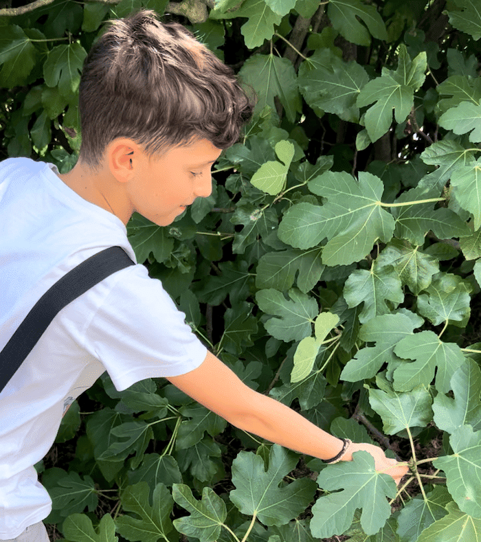 Mario recogiendo ingredientes para los Jabones artesanales en Pamplona